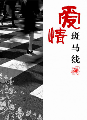 爱情斑马线