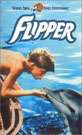 飞宝Flipper