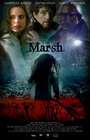 湿地The Marsh