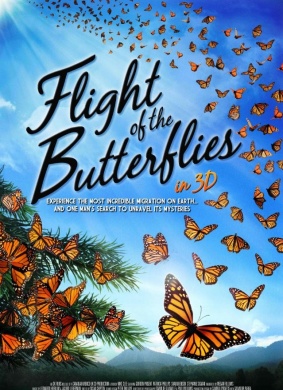 帝王蝶的迁徙Flight of the Butterflies