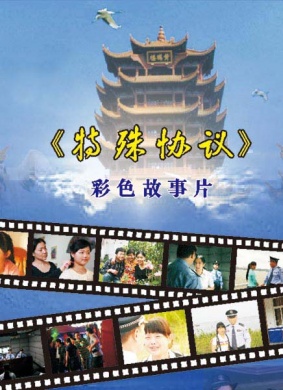 特殊协议